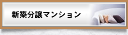 新築分譲マンション