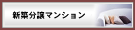 新築分譲マンション