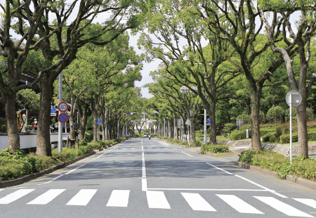 並木道（福岡県庁前）