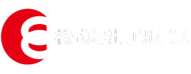 株式会社エルビス