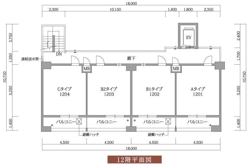 12階平面図