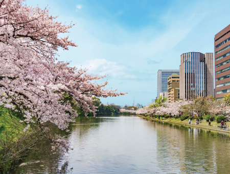 舞鶴公園