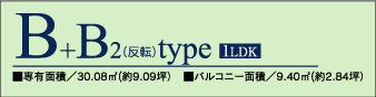 �o�i�[B+B2type