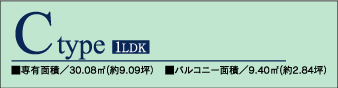 �o�i�[Ctype