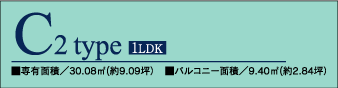 �o�i�[C2type