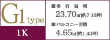 G1type-1K